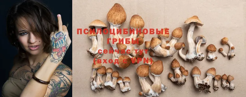 KRAKEN как зайти  Волгоград  Псилоцибиновые грибы MAGIC MUSHROOMS 